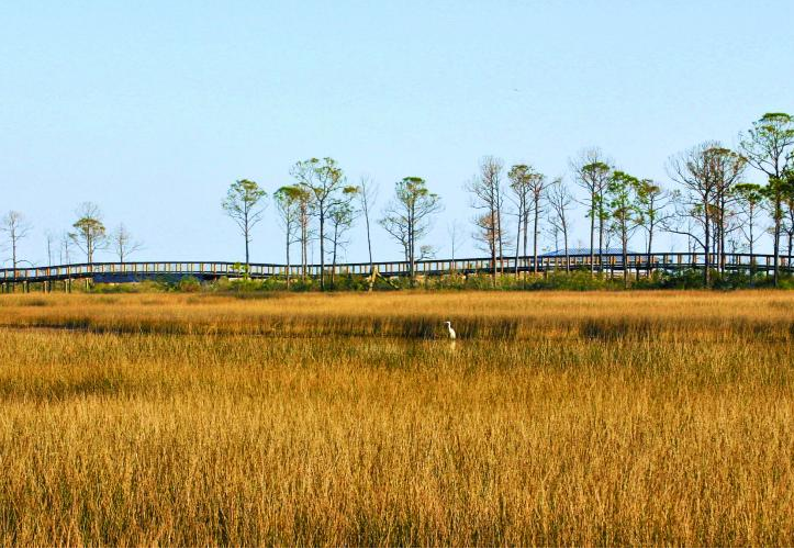 Raised wooden trail at Big Lagoon State Park