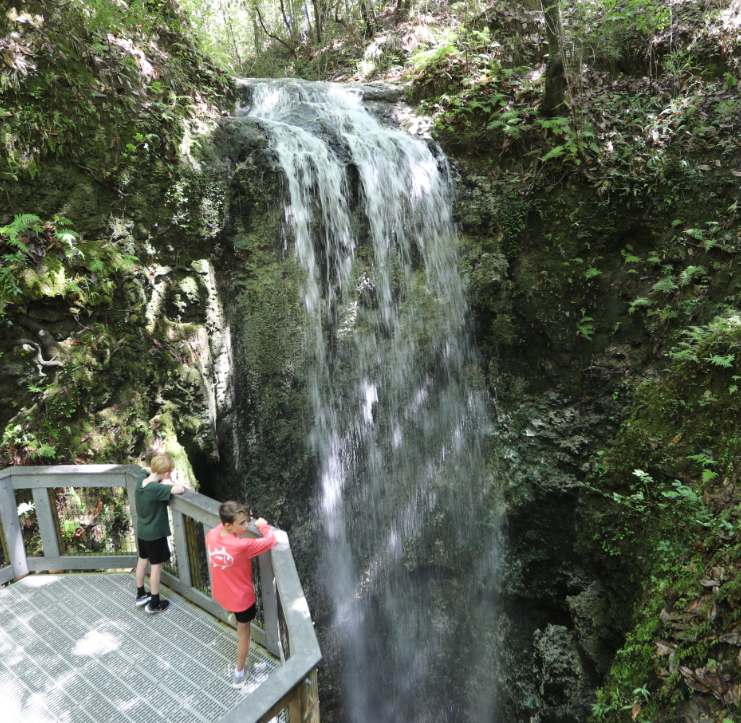 Two Children overlooking The Waterfall at Falling Waters State Park