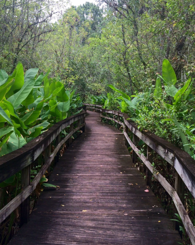 Wooden Trail at Wild Orange and Hickory Trail