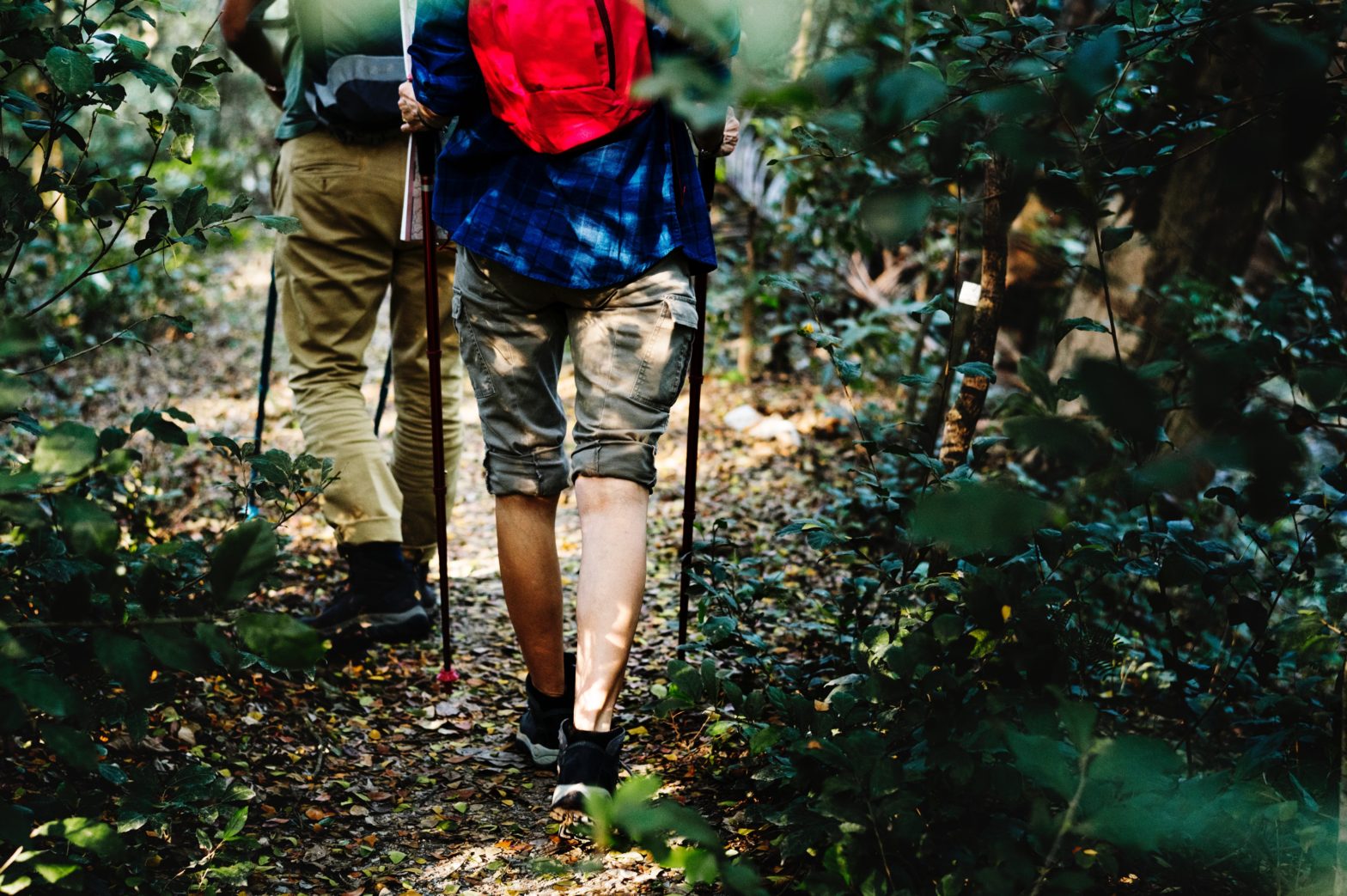 Photo of Two Adults Hiking on A Wooded Trail